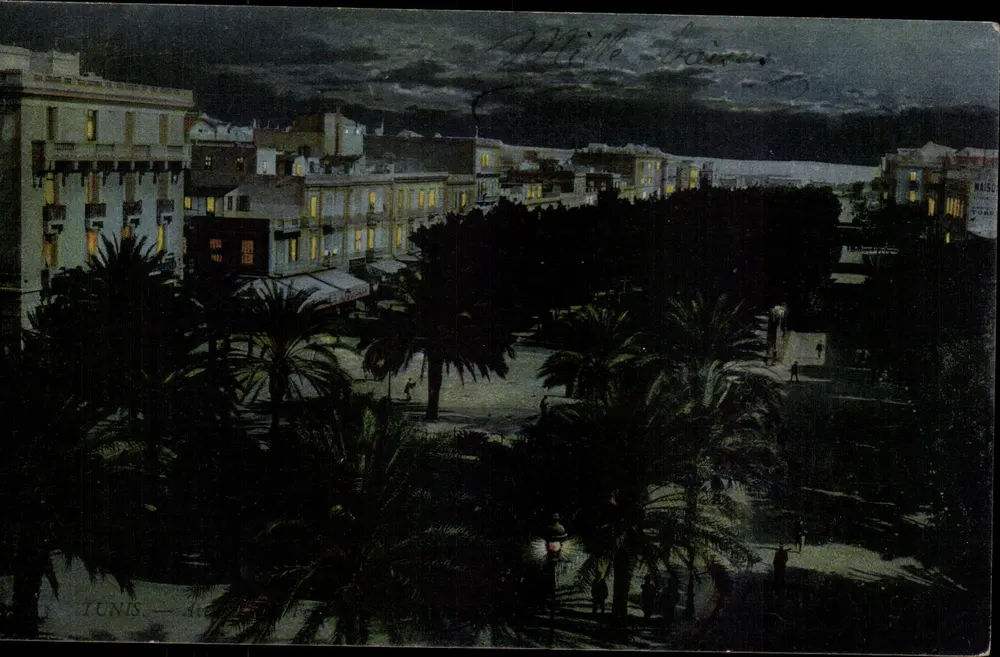 Tunis — Avenue Jules Ferry — Nachtsicht mit Palmen und beleuchteten Gebäuden - Vorderseite