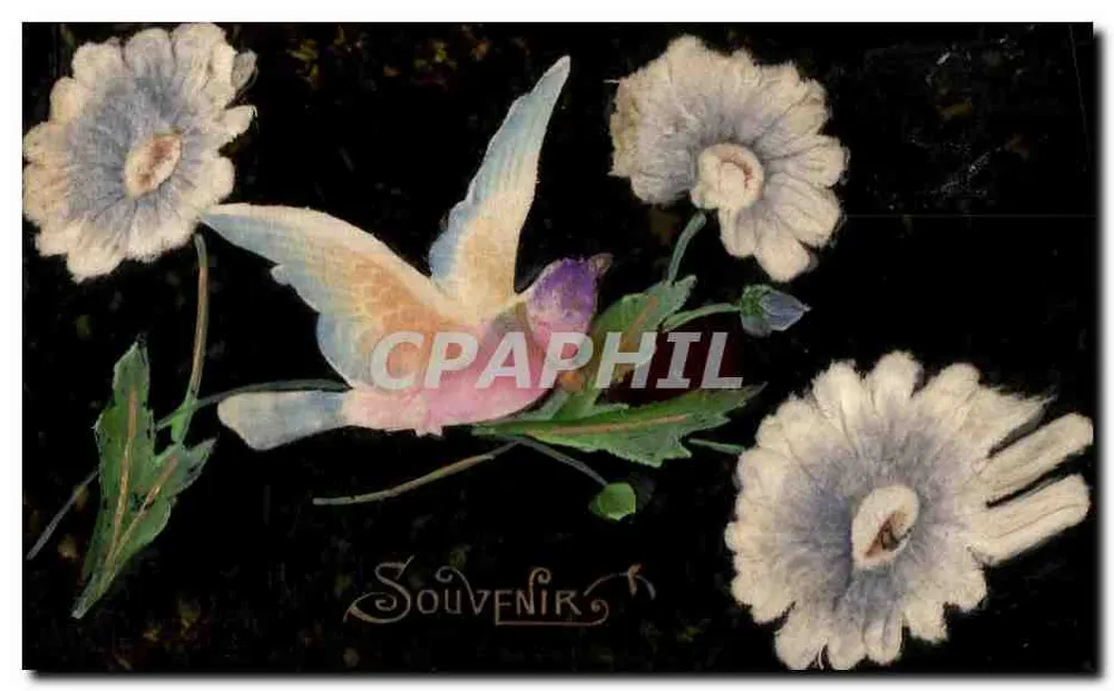 Ave e flores — Lembrança — editor desconhecido - Frente