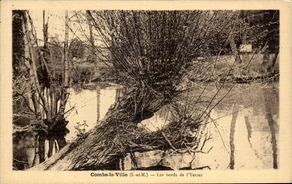 Combs-la-Ville (S.-et-M.) — De oevers van de Yerres - Voorkant