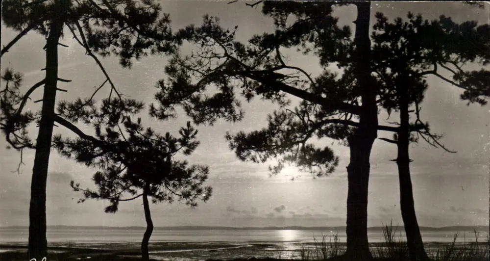 Sonnenuntergang über den Bassin d'Arcachon — Édition L. Chatagnau - Bordeaux, n°713 - Vorderseite