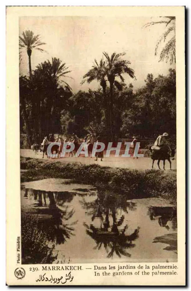 Marrakesch — In den Gärten der Palmenplantage — Foto Flandrin, Nr. 239 - Vorderseite