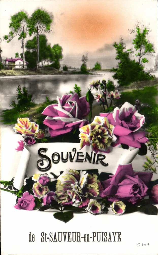 St-Sauveur-en-Puisaye — Erinnerung — unbekannter Verlag, Nr. 0153 - Vorderseite