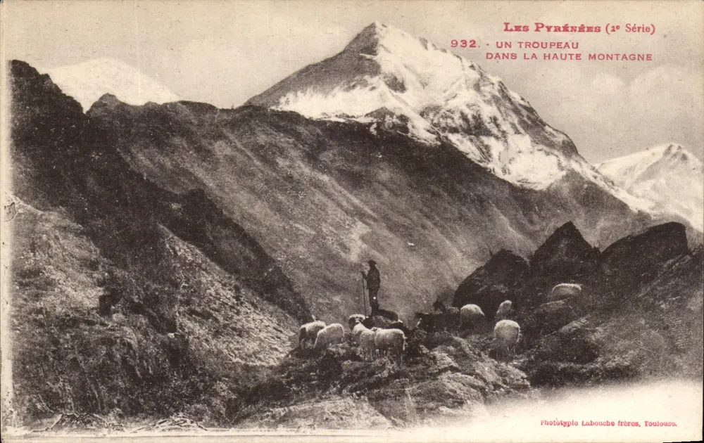 Les Pyrénées (1ère Série) — Un troupeau dans la haute montagne — Phototypie Labouche frères, Toulouse - Vorderseite