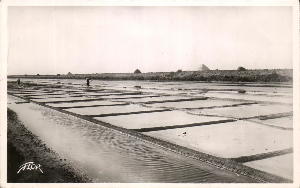 De Marais Salants — Eiland Ré (Charente-Maritime) — Edities van Echte Kunst - Voorkant