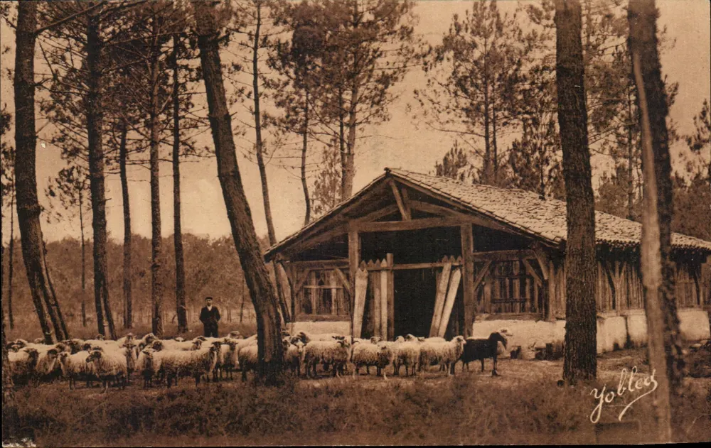 Schäferhütte in den Landes de Gascogne — Yobles — Nr. 25 - Vorderseite