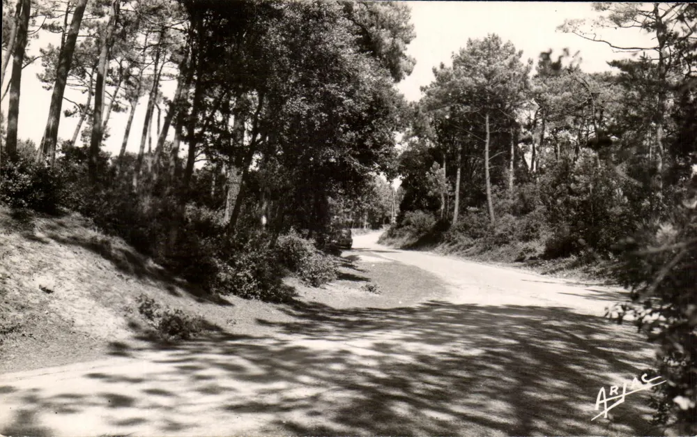 Estrada florestal — Ilha de Oléron — edição ARJAC - Frente