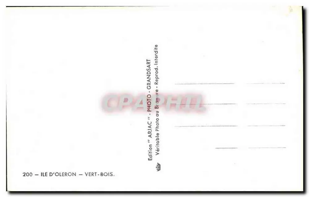 Estrada florestal — Ilha de Oléron — edição ARJAC - Verso