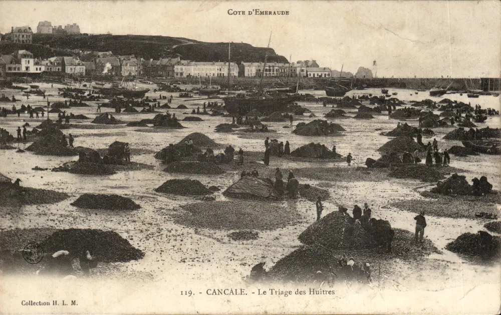Cancalé - A Triagem das Ostras — Costa da Esmeralda, série 119, editor H. L. M. - Frente