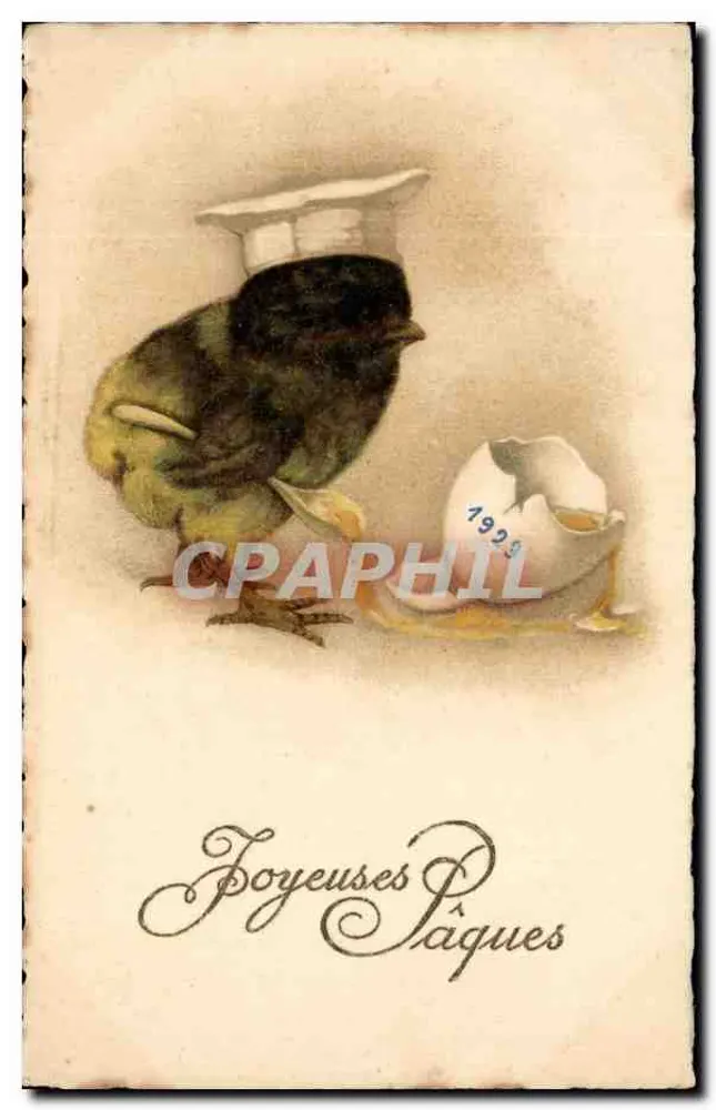 Pulcino con cappello da chef — Pasqua 1929 — editore sconosciuto - Recto