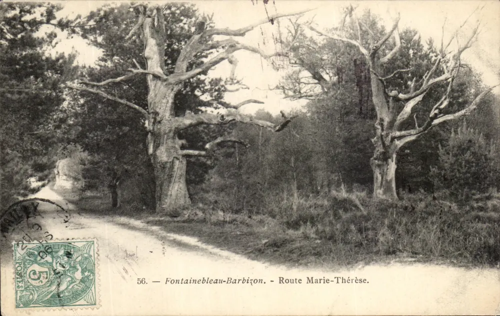 Fontainebleau-Barbizon — Marie-Thérèse Straße — Verlag unbekannt, Nr. 56 - Vorderseite