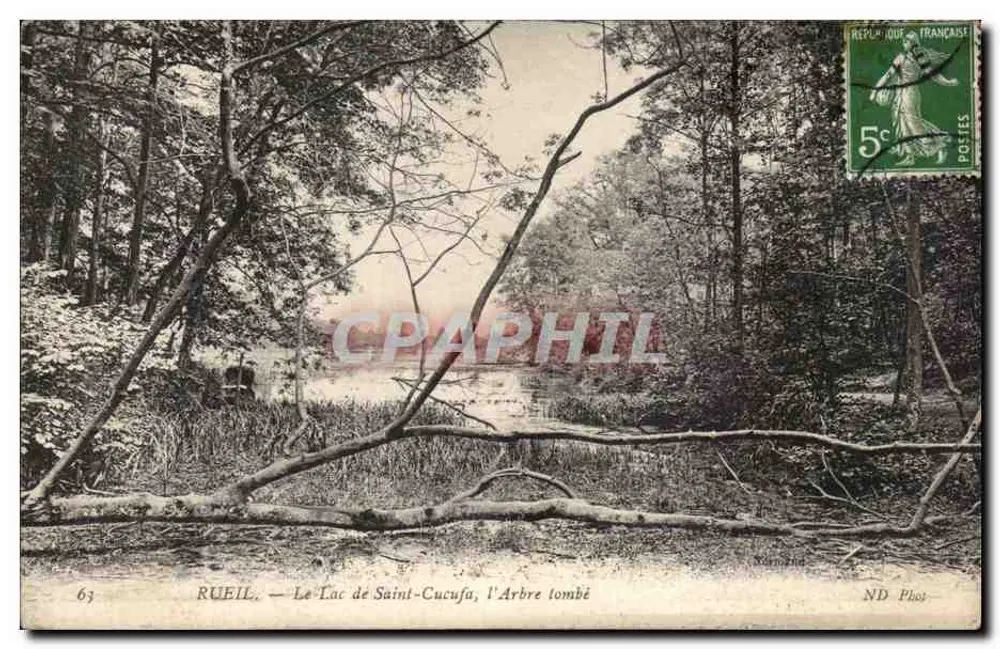 Rueil — O Lago de Saint-Cucufa, a Árvore Caída — ND Phot. - Frente