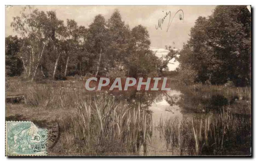 Der Fabelteich — Fontainebleau — Luxus-Ansichtskarte - Vorderseite