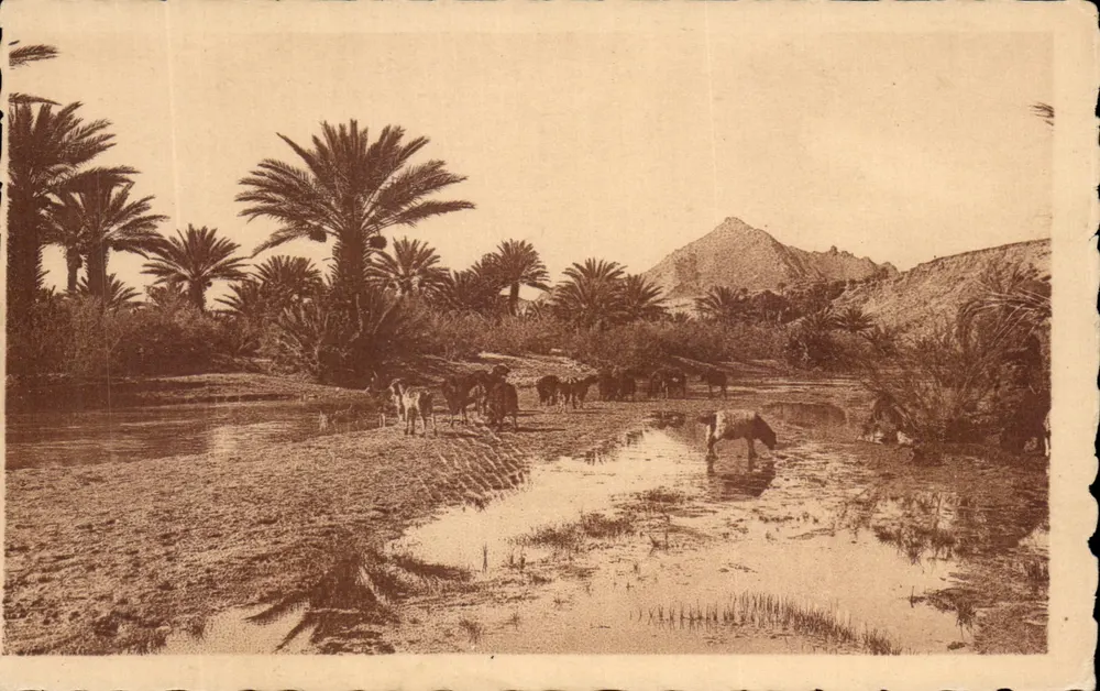 Paisagens do sul — Egito — Col. artística, L’Afrique, n°7 — R. Prouho & Hussein-Dey - Frente