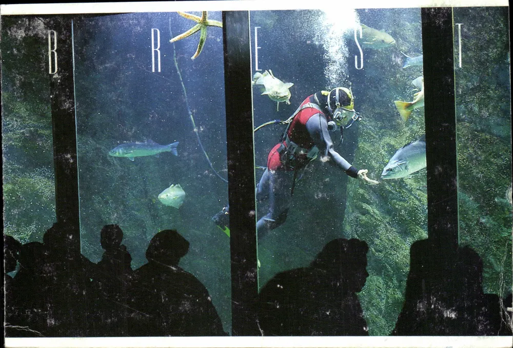 Brest — Océanopolis — Taucher im Aquarium - Vorderseite