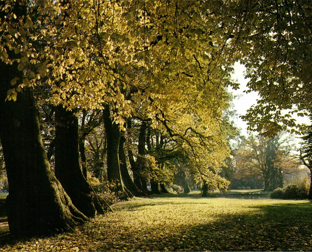 Outono em Limousin — « Tu verses ta douceur, pâle soleil d'automne » — ThéoJAC Éditions, n° 87.303 - Frente
