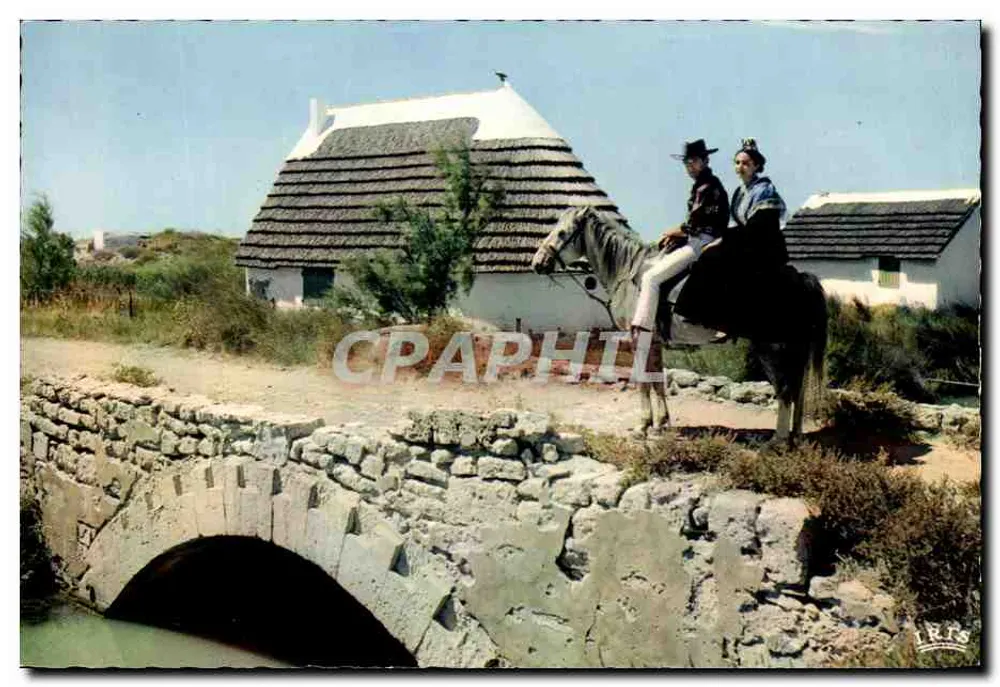 कैमार्ग — कैमार्ग गार्डियन के साथ — जी. गांडिंट, मार्सिले - आगे