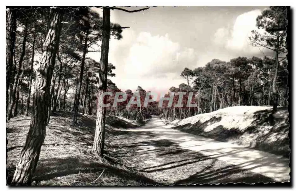 Estrada na floresta da Ilha de Oléron — Edições Van-Fyr-Rouleau — n° 1059 - Frente