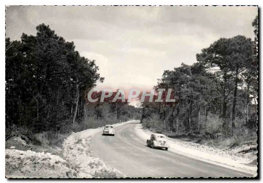 Touristische Route in der Forêt de la Coubre — Ronce les Bains — Fotostudio R.L. - Vorderseite