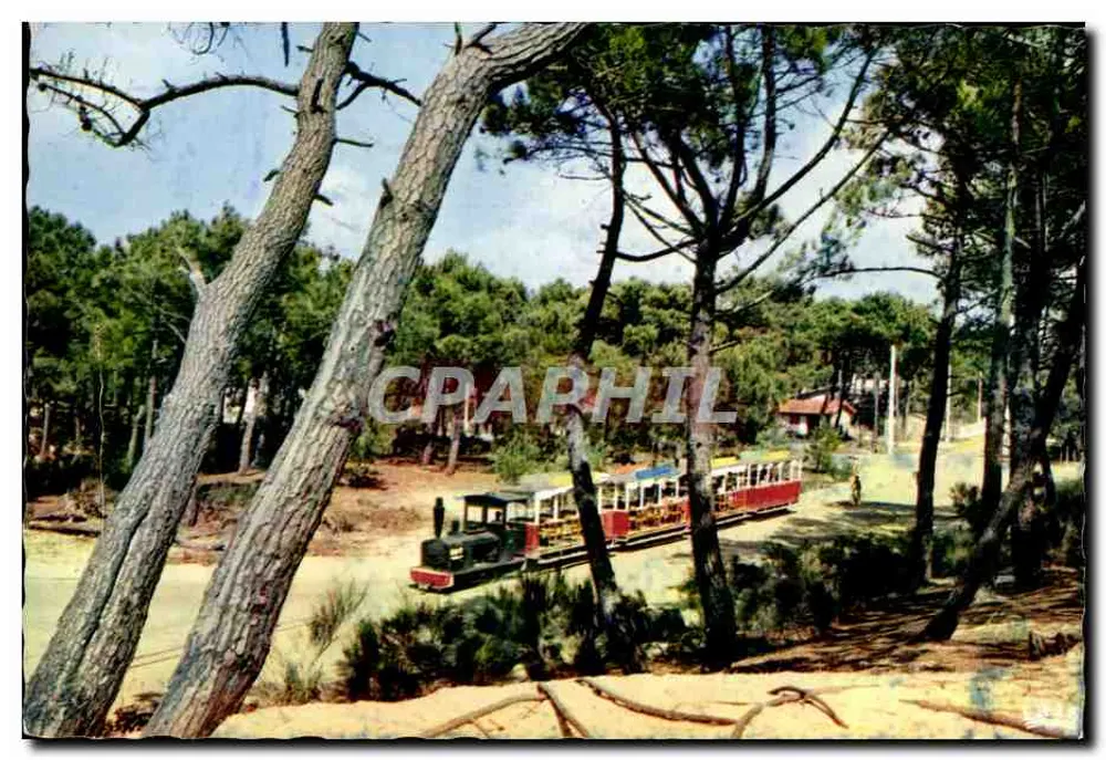Bassin d'Arcachon — Le Petit Train du Cap Ferret — Édit. Mexichrome - Vorderseite