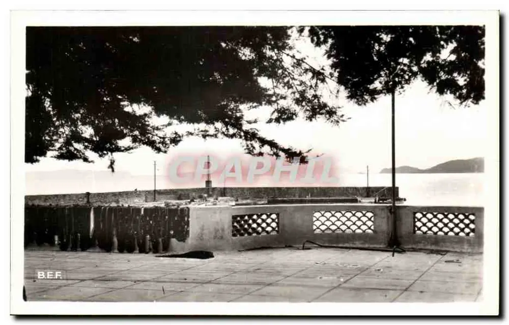 Le Lavandou — Sonnenuntergang über die Inseln des Levant und Port-Cros — REAL-PHOTO - PARIS - Vorderseite