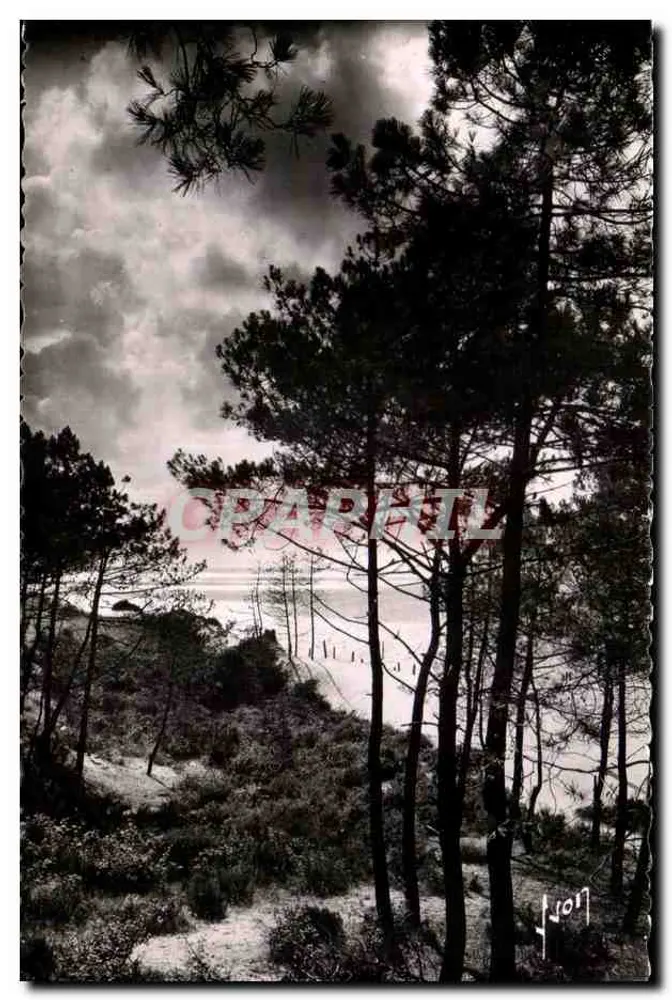 Bassin d'Arcachon — Der Bassin und die Dünen — Éditions d'Art Paris - Vorderseite