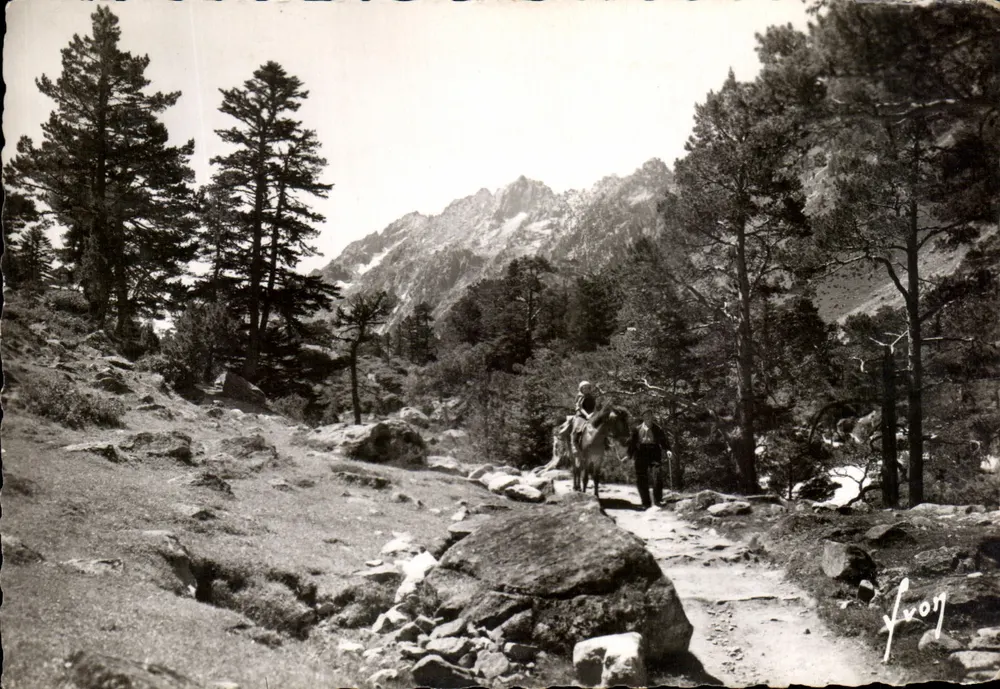 Pad naar het meer van Gaube — Bij Cauterets (Hoog-Pirinees) — Kunstuitgaven 'Yvon' n°1457 - Voorkant