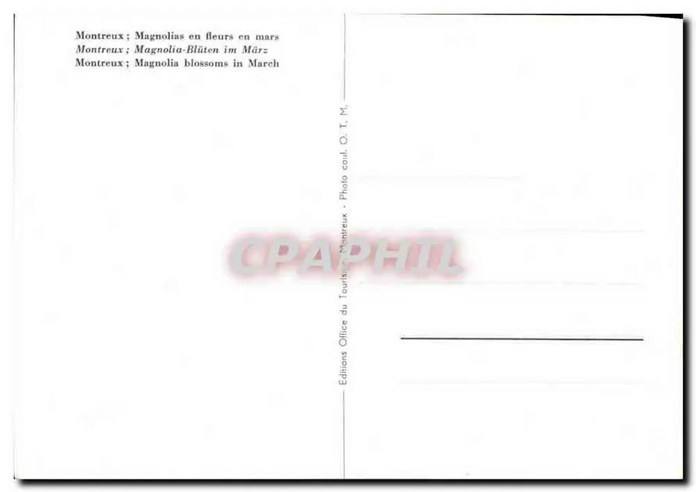 Montreux; blühende Magnolien im März — Éditions du Tourisme Montreux, n° T. M. - Rückseite