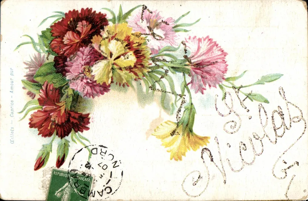 Bouquet de géraniums — illustration colorée — éditeur CÉLILLES — Amour pur - Frente