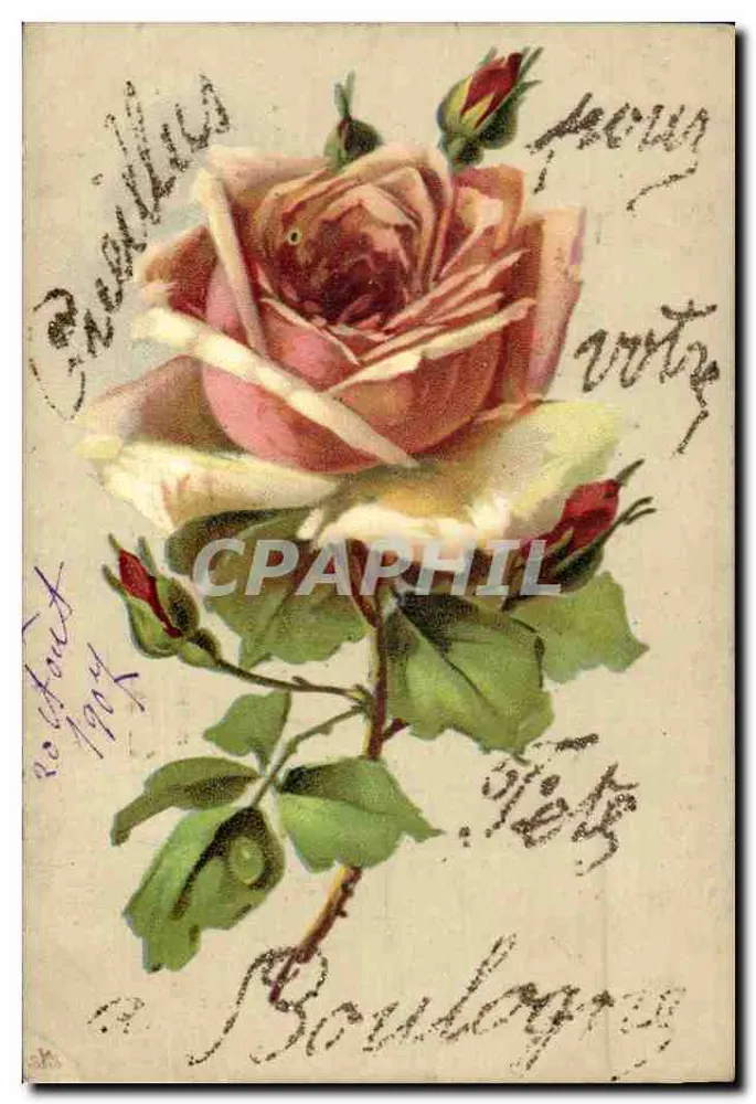 Rose — farbige Illustration — unbekannter Verleger - Vorderseite