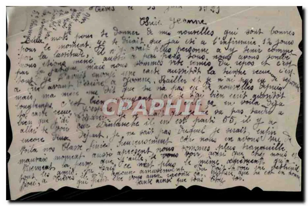Souvenir de Grèves — carte ornée de violettes et d'un oiseau — éditeur non visible - Rückseite