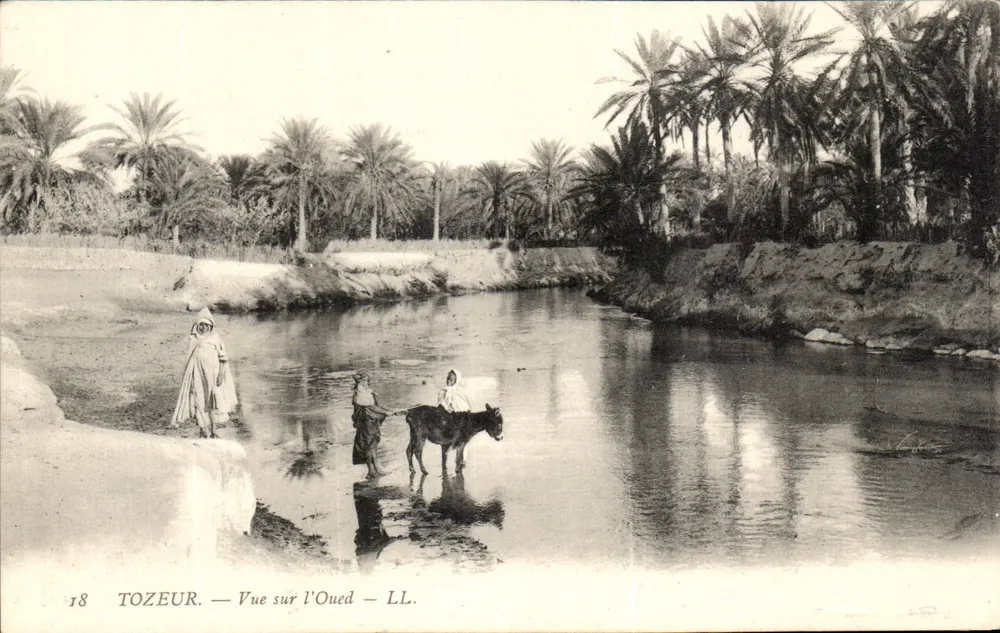Tozeur — Ansicht des Oued — LL. - Vorderseite