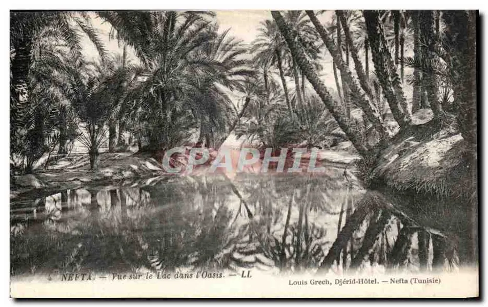 Nefta — Blick auf den See in der Oase — Louis Grech, Djérid-Hôtel — Nefta (Tunesien) - Vorderseite