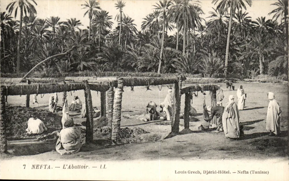 Nefta — A Carneiraria — Louis Grech, Djérid-Hôtel. — Nefta (Tunísia) - Frente