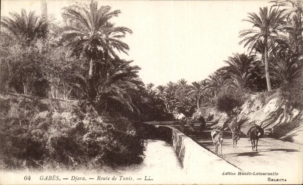 Gabès - Djara - Estrada de Tunis — Edição Houët-Letournelle, n°64 - Frente