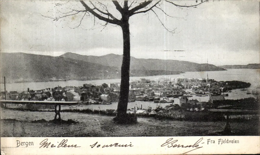 Bergen — Ausblick von Fjeldveien — Erinnerungskarte Borre — Verlag Borre - Vorderseite