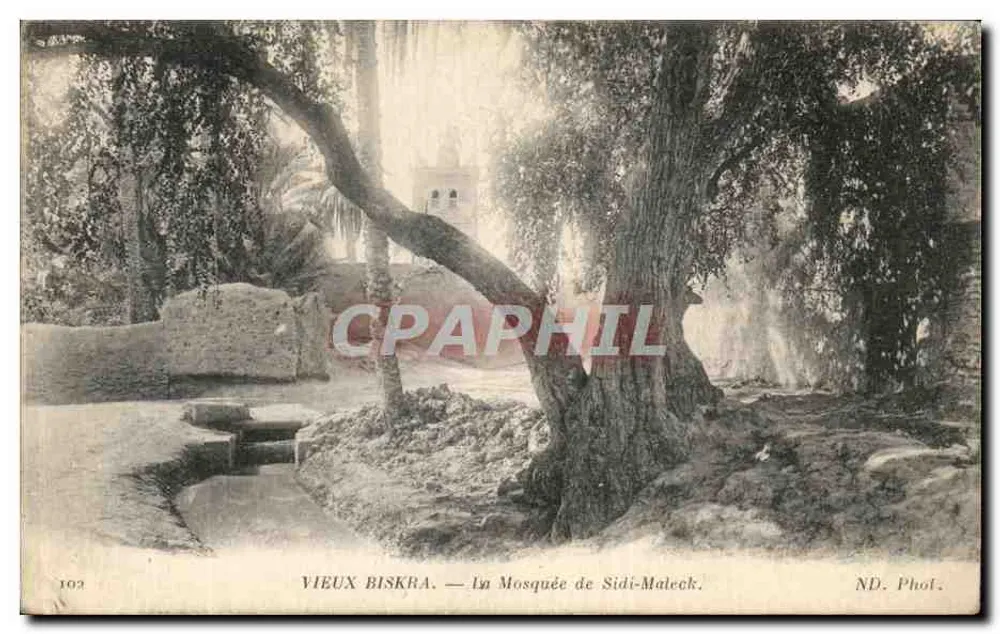 Altes Biskra — Moschee von Sidi-Maleck — ND. Phot. - Vorderseite