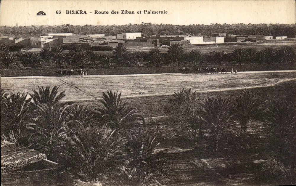 Biskra - Route der Ziban und Palmeraie — Verlag CP-ALSACIENNE DES ARTS PHOTOGRAPHIQUES, Straßburg - Vorderseite