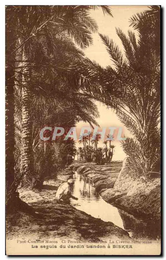 Die Seguia des Gartens Landon in BISKRA - Phot-Combilor Macon, Ci Prouho, La Civette Saharienne - Vorderseite