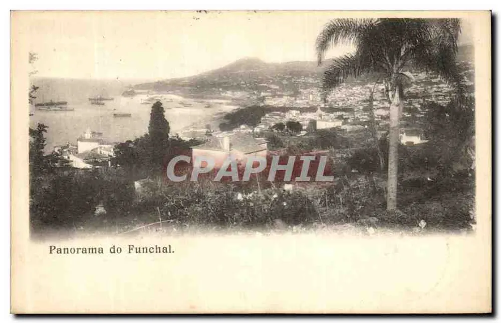 Panorama do Funchal — vista panorâmica da cidade e do porto — editor não visível - Frente