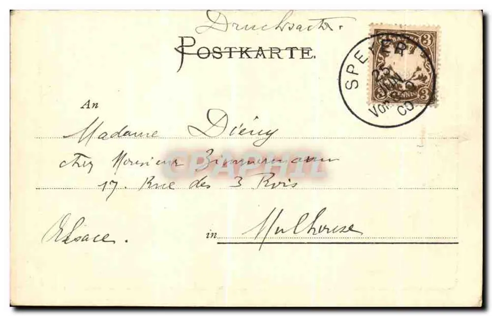 Museum — Real- und Frauenarbeits-Schule — Verlag Buchhandlung Max Nimts, Speyer - Rückseite