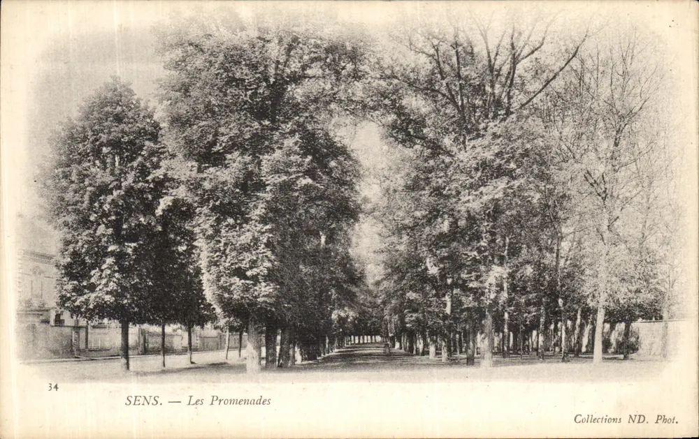 SENS — As Promenades — Coleções ND. Fot. - Frente