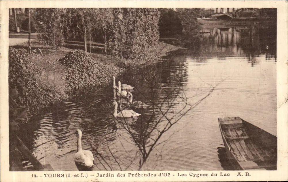 Tours (I.-et-L.) — Garten der Prébendes d'Oë — Die Schwäne am See — A. B. - Vorderseite