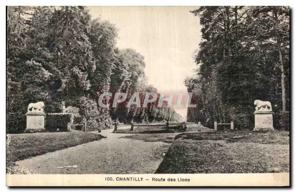 Chantilly — Rua dos Leões — editor A. Roculer, Villaines - Frente