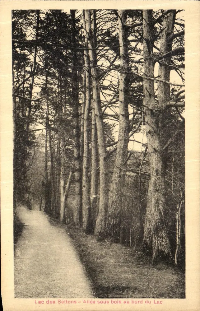 Lac des Settons — Schattenreihen am Ufer des Sees — A. Breger frères, Paris - Vorderseite