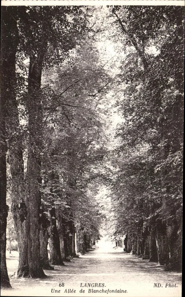 Avenida de Blanchefontaine — Langres — ND. Fot. - Frente