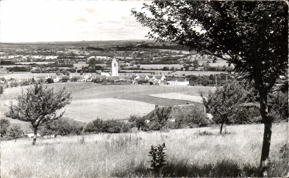 Zaney (Orne) — Vista Geral — Photo Véritable - Frente