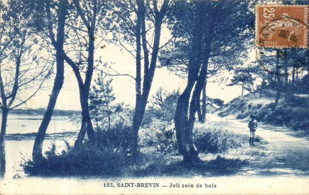 SAINT-BREVIN — Lindo canto de floresta — J. NOAILLÉ, editor, Nantes, n°152 - Frente