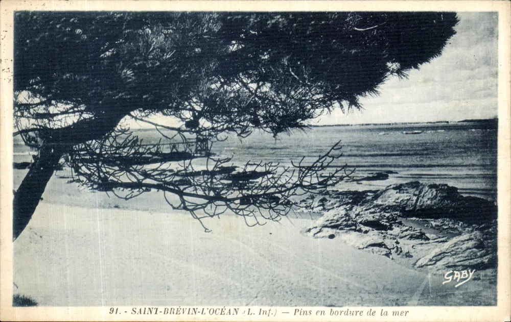 Saint-Brevin-l'Océan (L. Inf.) — Kiefern am Meeresufer — Saby - Vorderseite