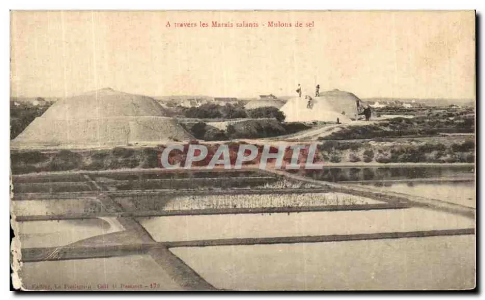 Pouliguen - A travers les Marais salants - Mulons de sel - Call & Poupout - 173 - Frente