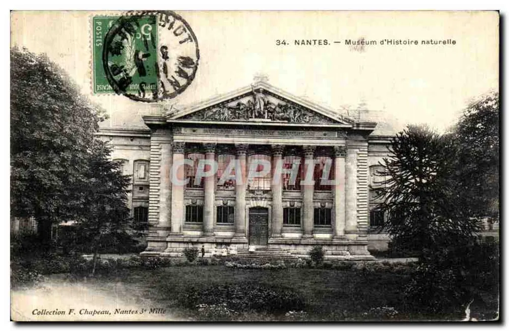 NANTES — Musée d'Histoire naturelle — éditeur imprimeur non visible, n° 34 - Vorderseite